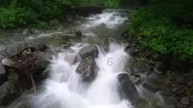 枪弹地牢